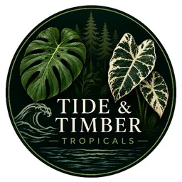 Tide_and_Timber