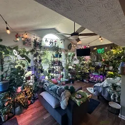 JungleMom247