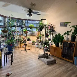 calm_reef_bloom35