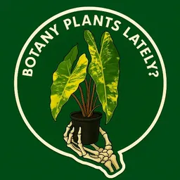 STAYROOTED