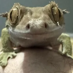 Nananisius