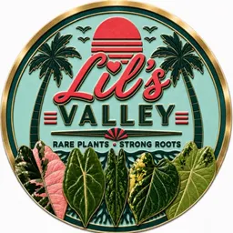 LilsValley