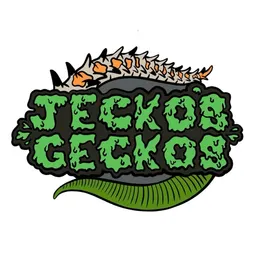 JeckosGeckos_Jon