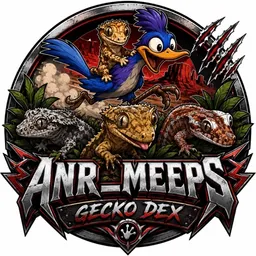 meepmeep15