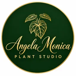 AngelaMonicaPlants