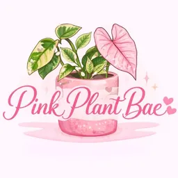 PinkPlantBae