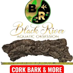 BlackRiverAquaticObsession