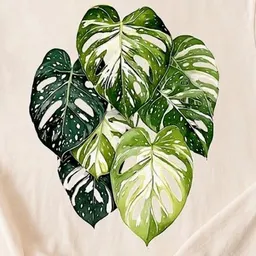 Greenandgrounded