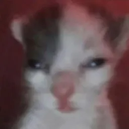 Mister_Jack