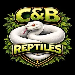 Canbreptiles