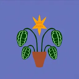OlliePlants_