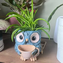 plantcorn