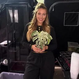 WeirdlyGreenLLC