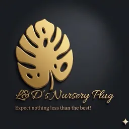 LDNurseryPlug