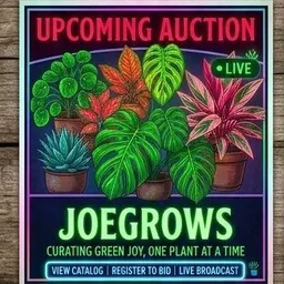 JoeGrows
