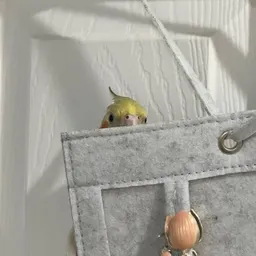 LizLivesLeafy
