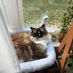 stinkypeanut