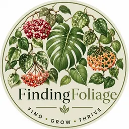 FindingFoliage
