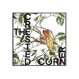 The_Crested_Corner