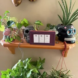 Erica_plantlvr