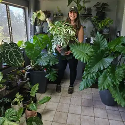 BotanyPlantsLately25
