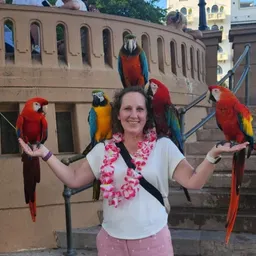 Crazy_Bird_Lady