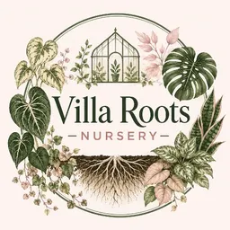 VillaRootsNursery