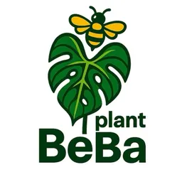 Plant_BeBa