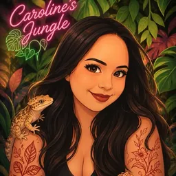 carolinesjungle