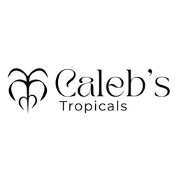 CalebsTropicals