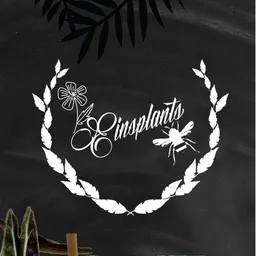 Einsplants