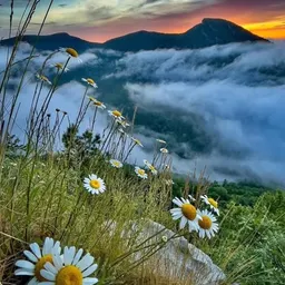Mountain_Gal