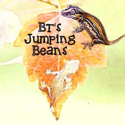 BTsJumpingbeans