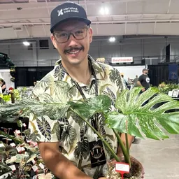 Theplantboss
