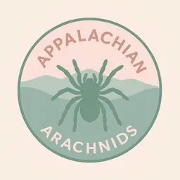 AppalachianArachnids
