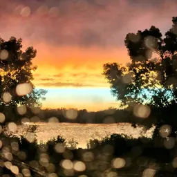 airy_grove_nestie10