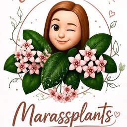 Marassplants