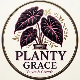 Planty_Grace