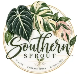 Southern_Sprout