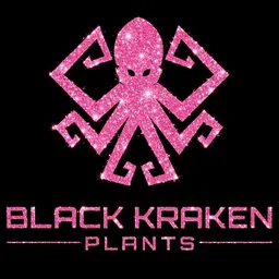 Cindy_BlackKraken