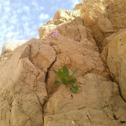 ImGrowingPlaces