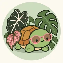 onecoolturtle
