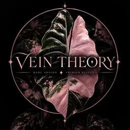 Vein.Theory