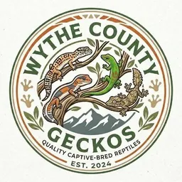 WytheCountyGeckos