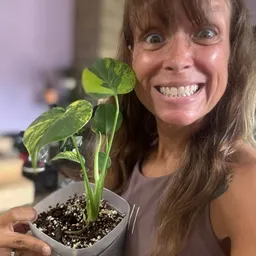 PlantAddict4life