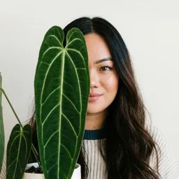 Leafinity