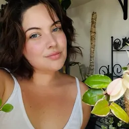 Siebee.Plants