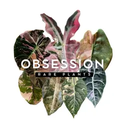 Obsession.RarePlants