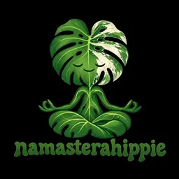 NamasteraHippie