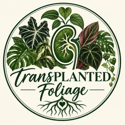 TransPLANTed_Foliage